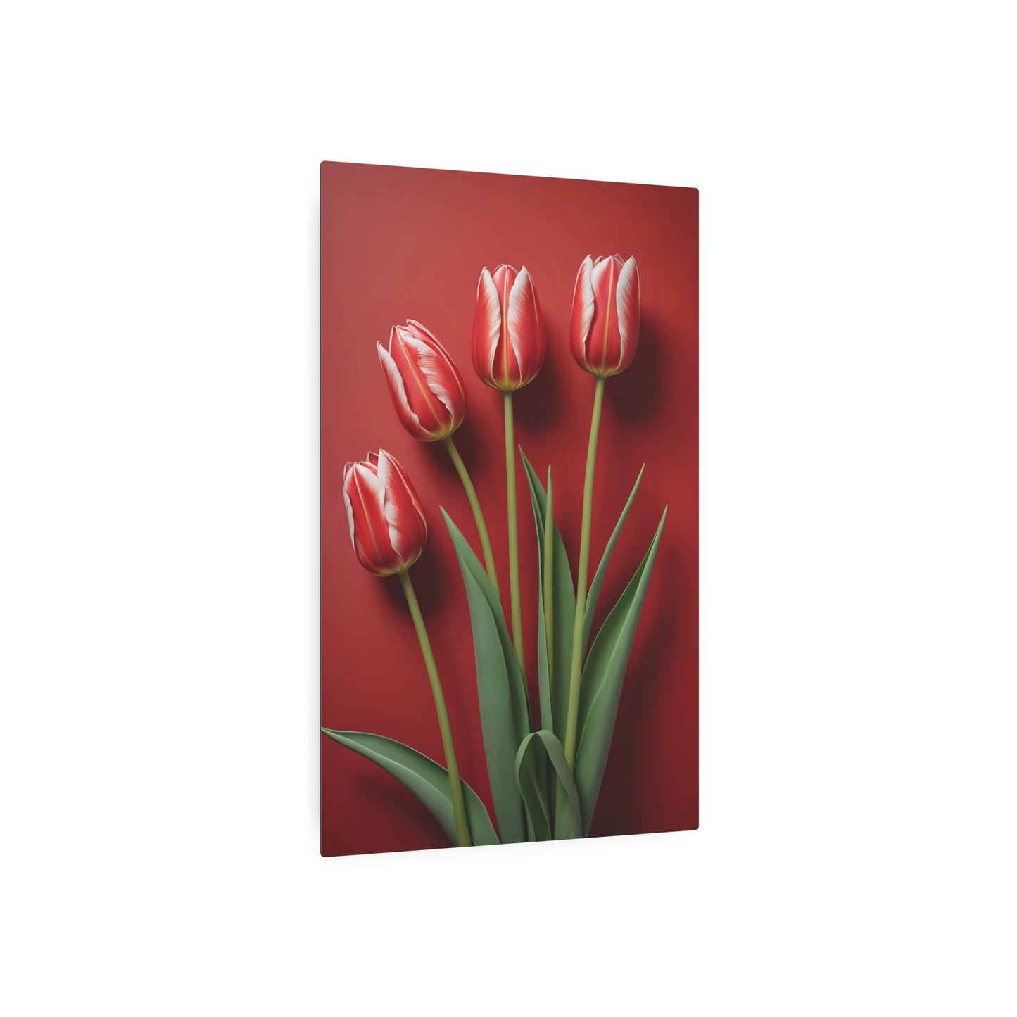 Red tulips Metal Art Sign