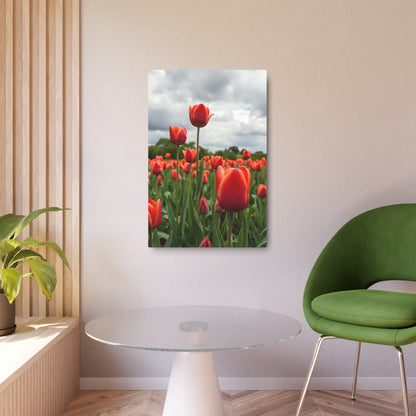 Red tulips Metal Art Sign